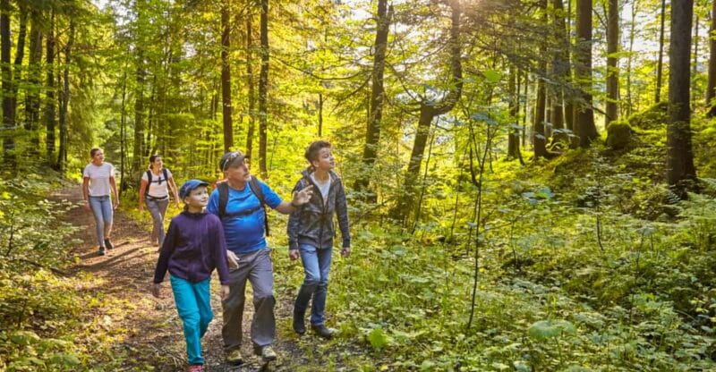 Lucerne: Guided hike on the Pilatus with barbecue experience - Final Thoughts