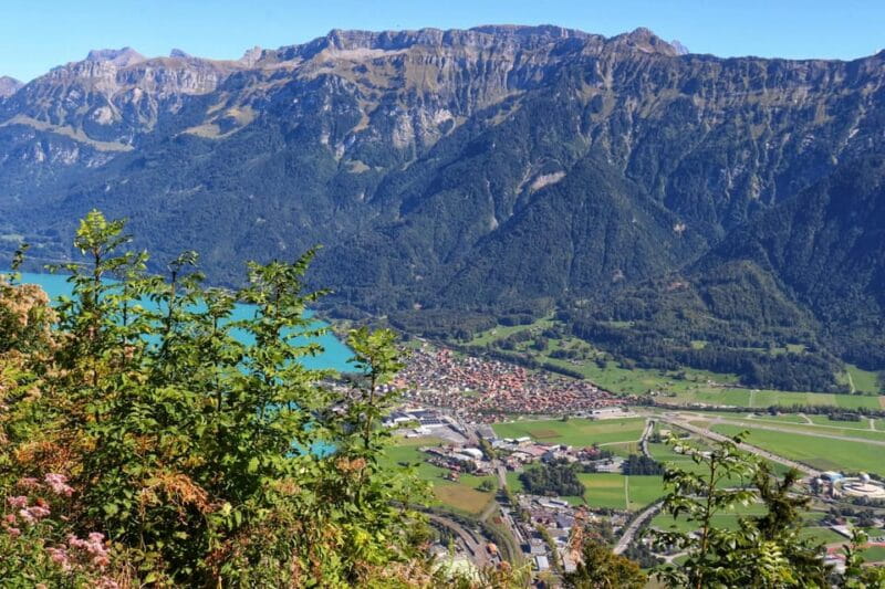 Lucerne: Interlaken & Grindelwald Exclusive Private Day Tour - A Closer Look at the Lucerne: Interlaken & Grindelwald Private Day Tour