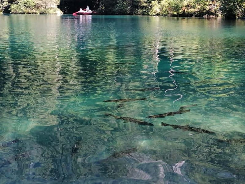 Lucerne or Zurich: Interlaken and Lauterbrunnen Day Tour - Who Will Love This Tour