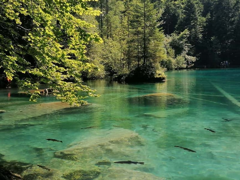 Lucerne or Zurich: Interlaken and Lauterbrunnen Day Tour - Final Thoughts