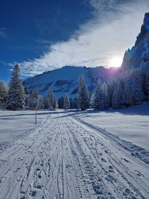 Lucerne: Private Snowshoe Tour - Key points / Takeaways
