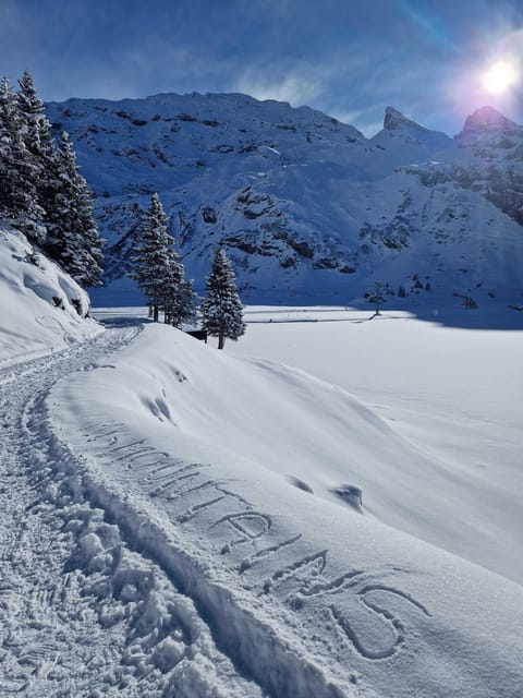 Lucerne: Private Snowshoe Tour - Why the Guides Make a Difference