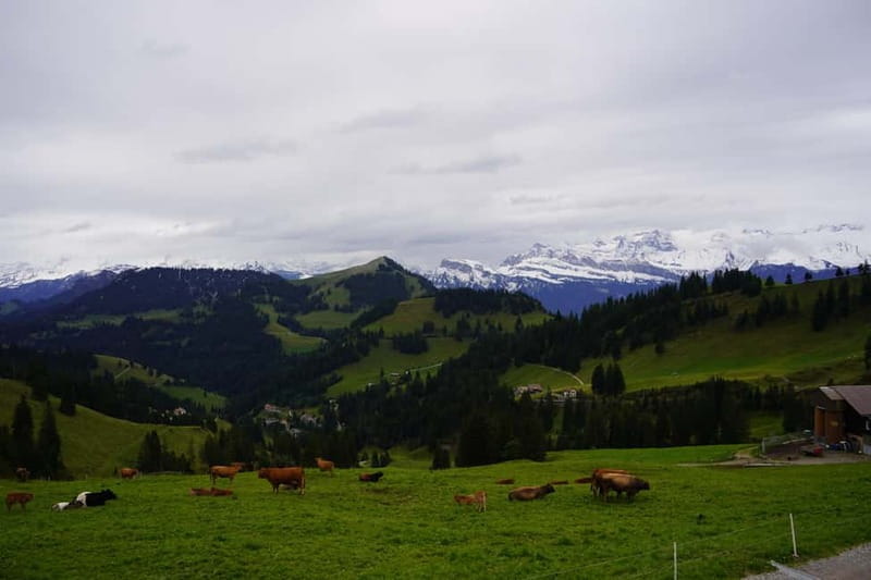 Lucerne: Rigi and Pilatus Private Guided Day Trip - FAQ