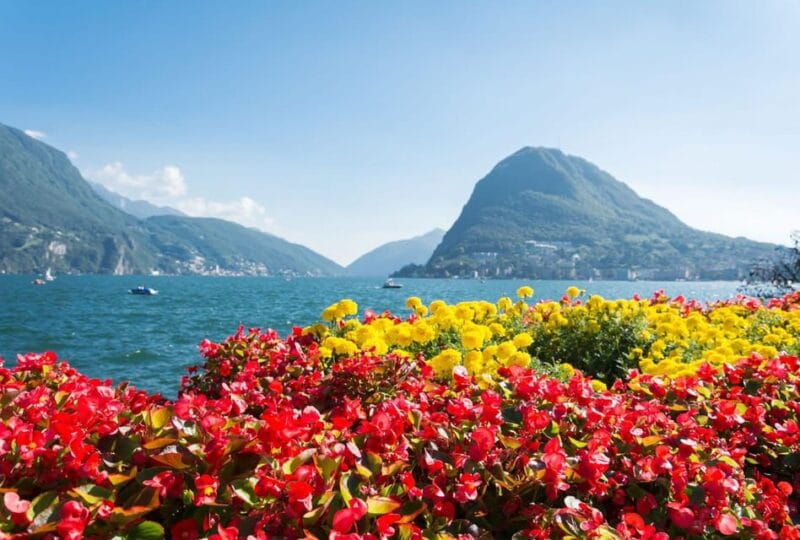 Lugano Highlights: A Guided Walking Adventure - Who Will Get the Most Out of This Tour?