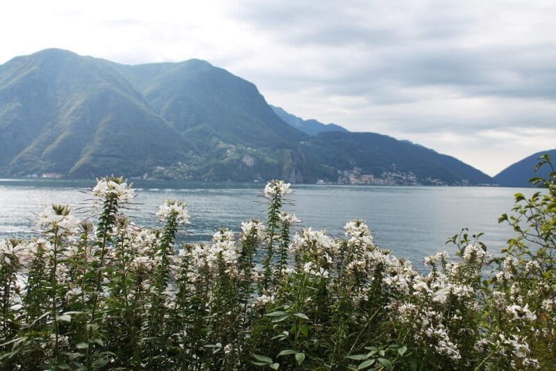 Lugano - Private Walking Tour - Key points / Takeaways