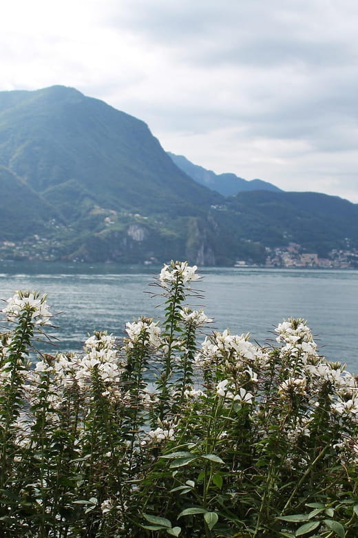 Lugano - Private Walking Tour - Who This Tour Is Perfect For