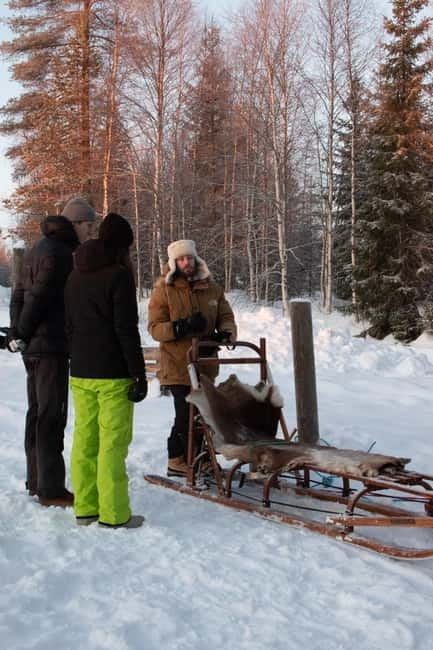 Luleå: Drive your own Husky team, 10km - Discover the Excitement of Husky Dog Sledding in Luleå