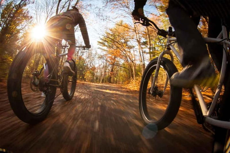 Luleå: Fatbike Rental, explore Luleå like a Local! - Exploring Luleå on a Fatbike: A Practical Guide