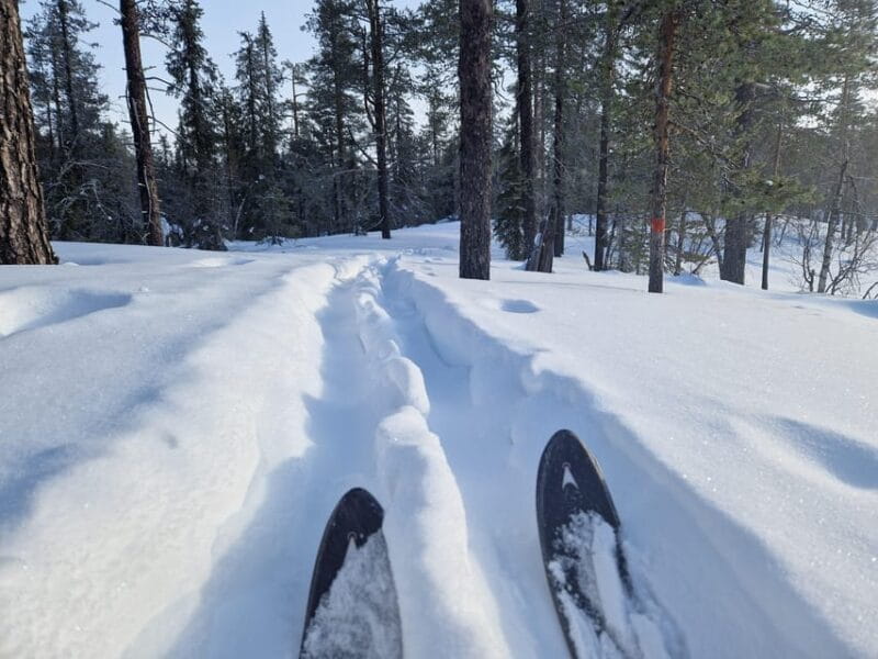 Luleå: Nordic Touring Skiing Adventure - Key Points & Takeaways
