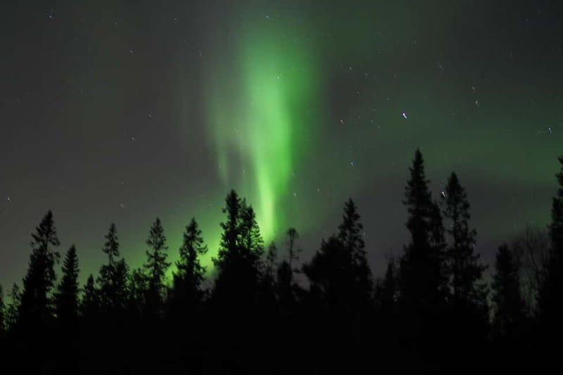 Luleå: Northern Lights Snowshoeing Tour - Key points / Takeaways