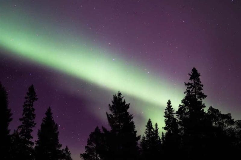 Luleå: Northern Lights Snowshoeing Tour - FAQ: Your Questions About the Northern Lights Snowshoe Tour in Luleå