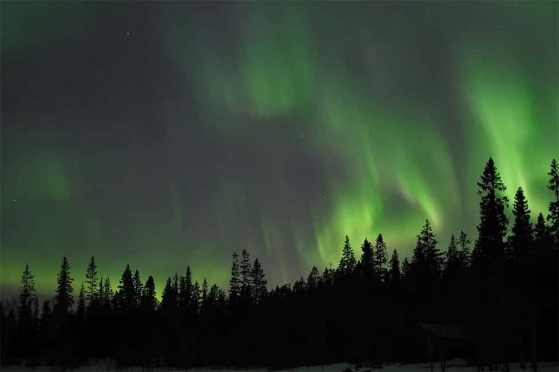 Luleå: Northern Lights Tour by Car with Guide - Price and Logistics: Is It Good Value?