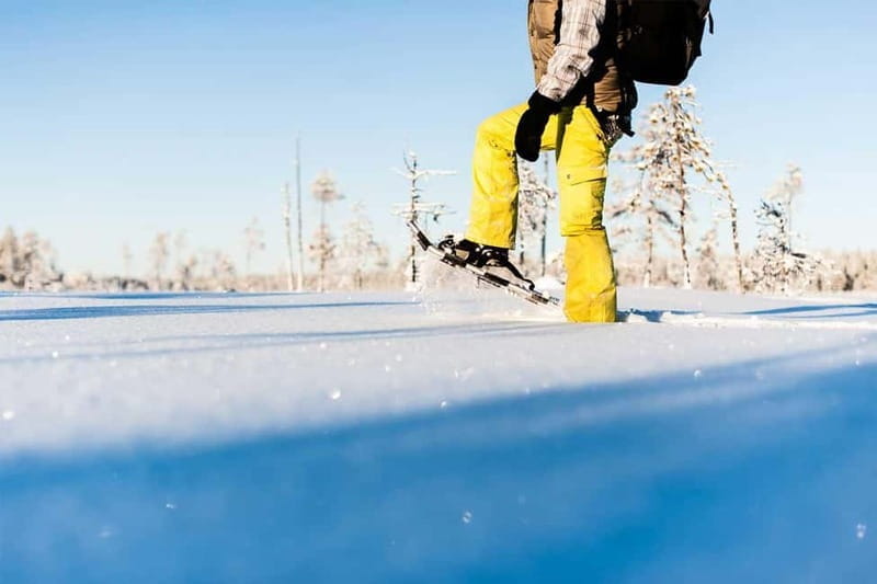 Luleå: snowshoeing in pristine nature with an expert guide! - Key Points/Takeaways