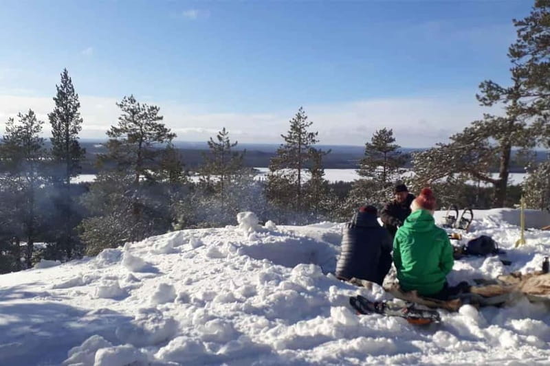 Luleå: snowshoeing in pristine nature with an expert guide! - Discovering the Magic of Snowshoeing Near Luleå