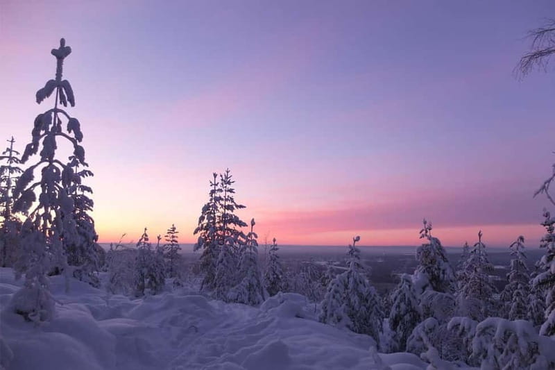 Luleå: snowshoeing in pristine nature with an expert guide! - Frequently Asked Questions