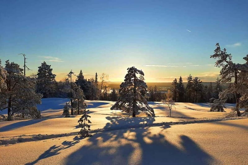 Luleå: snowshoeing in pristine nature with an expert guide! - Final Thoughts