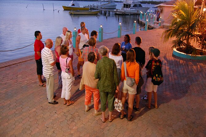 Luminous Lagoon Night Cruise From Montego Bay - Participant Requirements