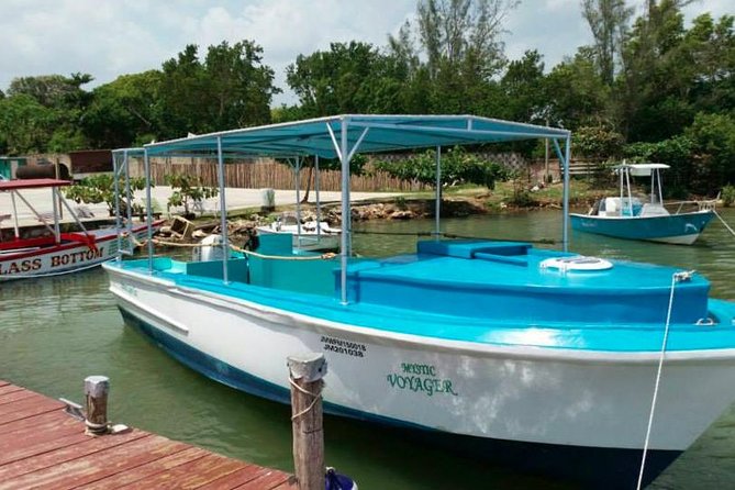 Luminous Lagoon Night-Time Tour From Montego Bay - Additional Considerations