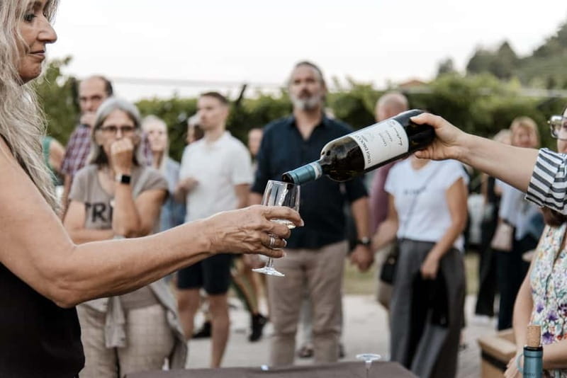Lunch in the Vineyard in Alba - Discovering the Heart of Alba’s Vineyards