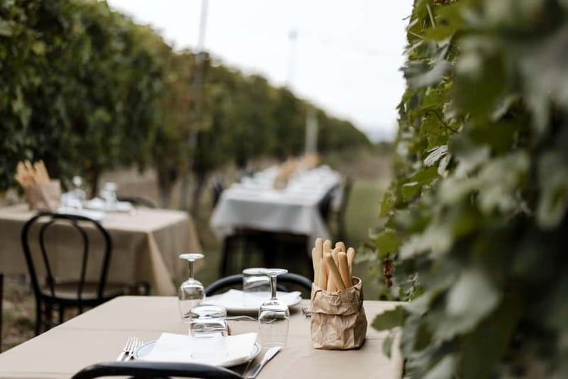 Lunch in the Vineyard in Alba - An Informal, Authentic Atmosphere