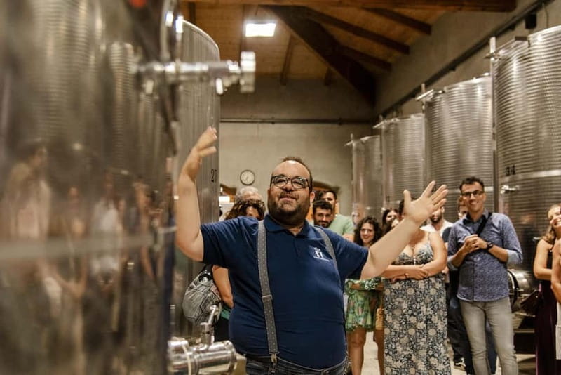 Lunch in the Vineyard in Alba - Price and Value