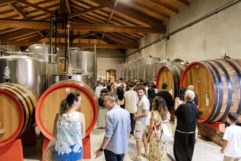 Lunch in the Vineyard in Alba - Who Is This Tour Best For?