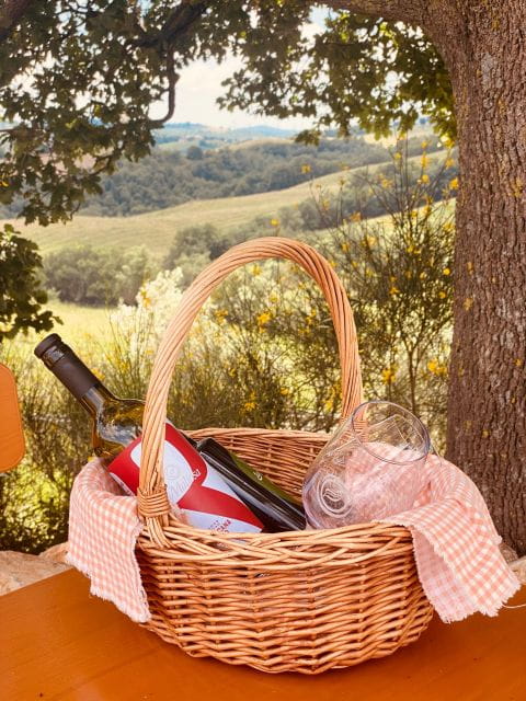 Lunch Picnic in the scenic hills of Maremma Tuscany - Entering the Experience: Starting at Fattoria La Maliosa