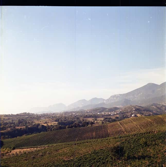 Lundër: Lundra Winery Guided Tour with Wine Tasting - The Value of the Experience