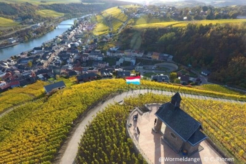 Luxembourg: Moselle Day Trip with Wine Tasting and Boat Tour - Exploring Luxembourg’s Moselle: A Detailed Journey