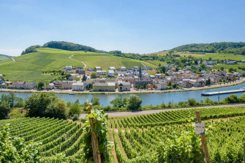 Luxembourg: Moselle Day Trip with Wine Tasting and Boat Tour - FAQ