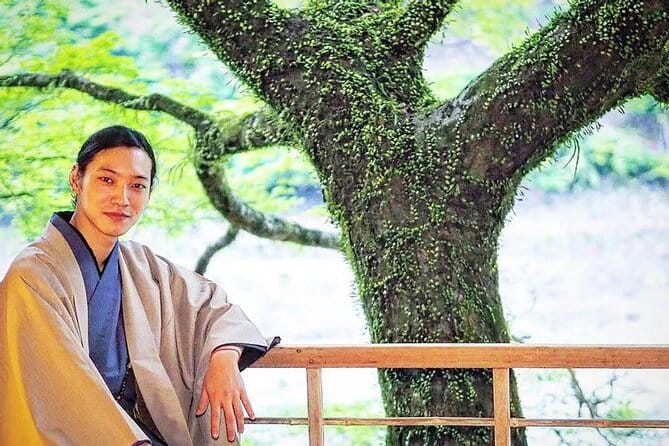 Luxuary Kyoto Taxi Tour W/Govt Licenced MBA Guide & Photographer - Accessibility Features