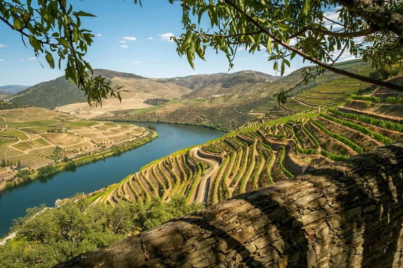 Luxurious Daytrip Lisbon to Douro Valley with Optional Stops - The Journey Begins: From Lisbon to Tomar and Coimbra