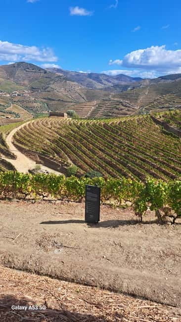 Luxurious Daytrip Lisbon to Douro Valley with Optional Stops - Practical Details and Value
