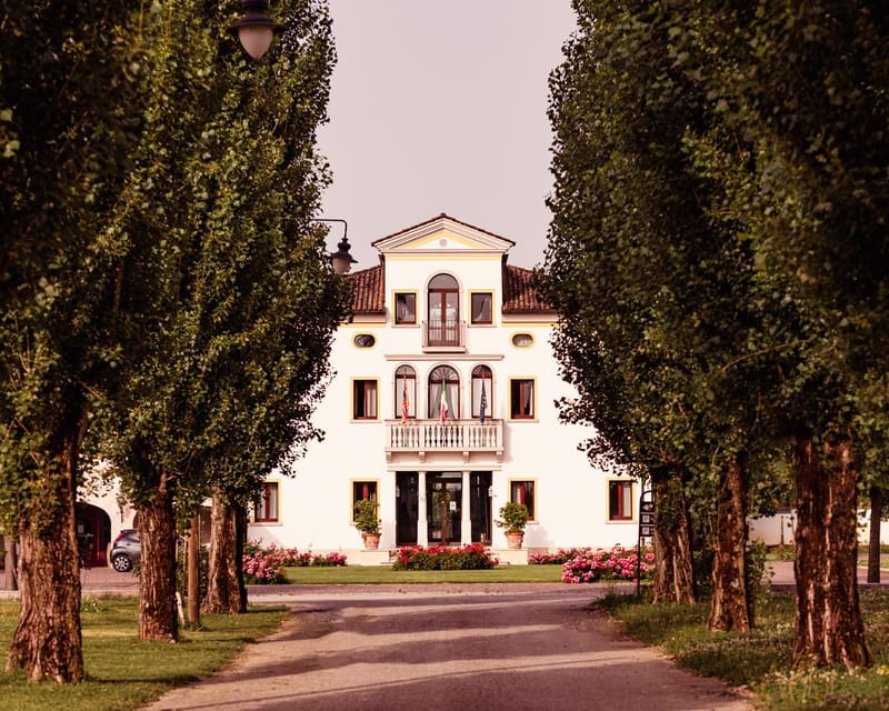 Luxurious Wine Experience: Savor Venetian Best Vineyards - Key points / Takeaways