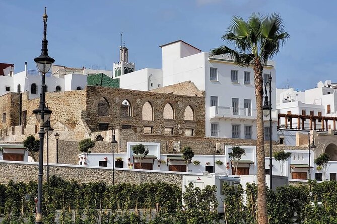 Luxury Full Private Day Tour To Tangier Including Ferry Ticket - Camel Ride Experience