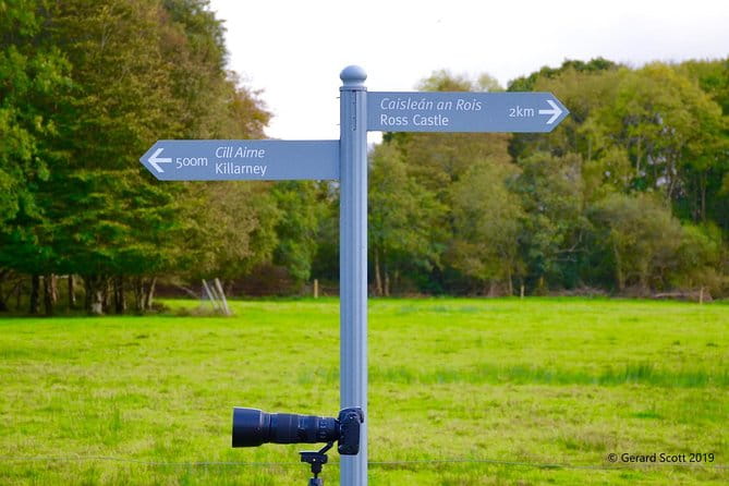 Luxury Photography Day Tour on Dingle Peninsula - Fully Guided and Chauffeured - Final Thoughts: Is This Tour Worth It?