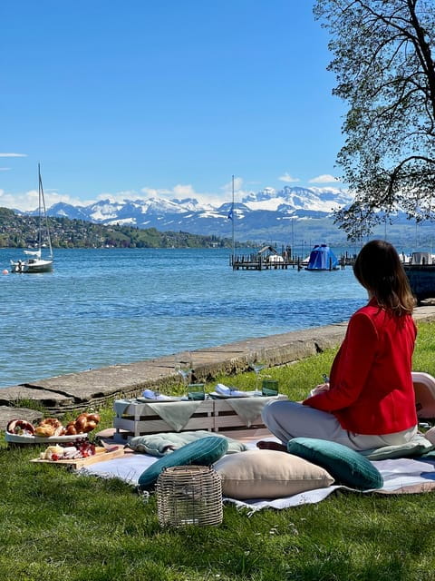 Luxury picnic by Zurich lake - Practical Tips for Your Picnic Day