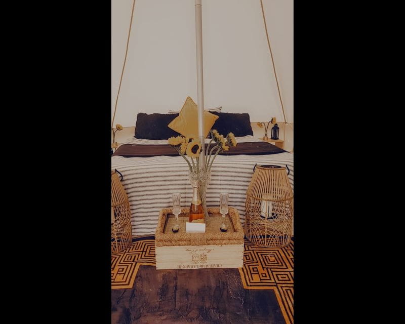 Luxury Picnic Experience - Frequently Asked Questions