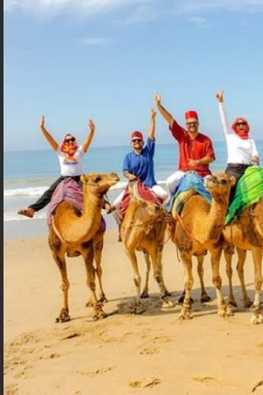 Luxury Private Tangier Tour from Cadiz all inclusive - Why Youll Love This Tour – Highlights That Shine