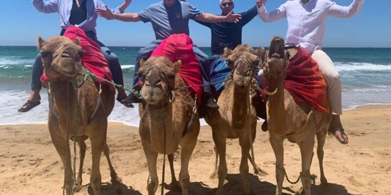 Luxury Private Tangier Tour from Cadiz all inclusive - Final Thoughts: Is This Tour Right for You?