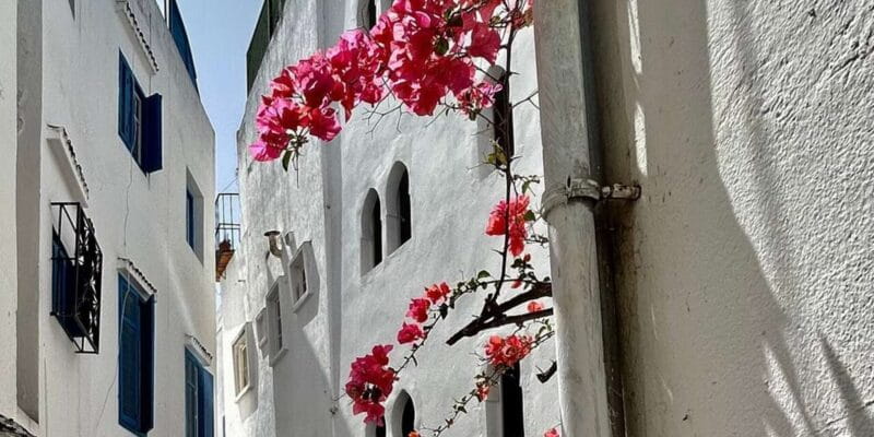 Luxury Private Tangier Tour from Marbella all inclusive - Key Points / Takeaways