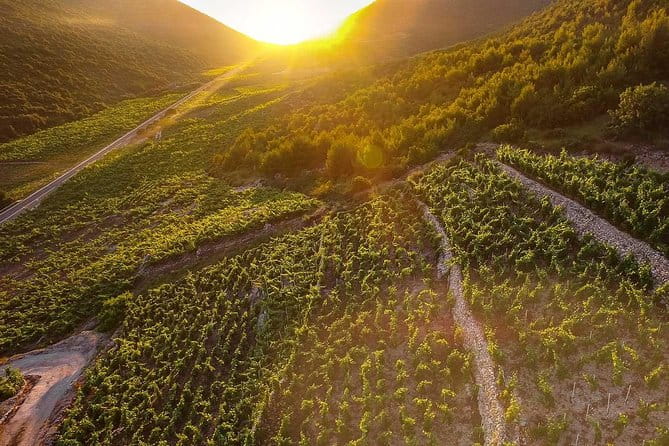 Luxury private transfer Split - Dubrovnik with lunch in Ston - The Full Experience: A Detailed Look at the Split to Dubrovnik Transfer with Ston Stop