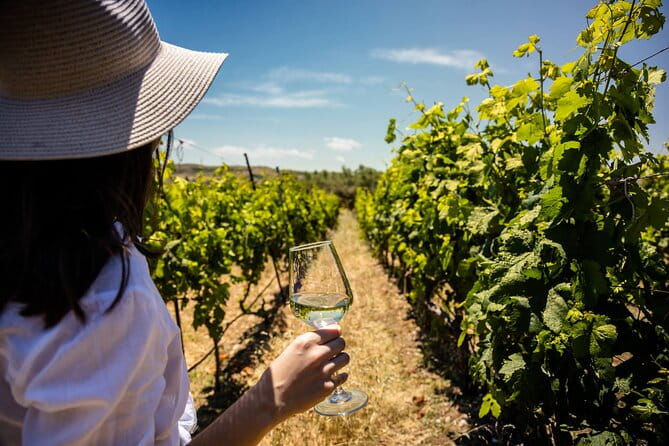 LUXURY PRIVATE Wine Tasting in CRETE (also for CRUISE SHIPS) - In-Depth Look at the Experience