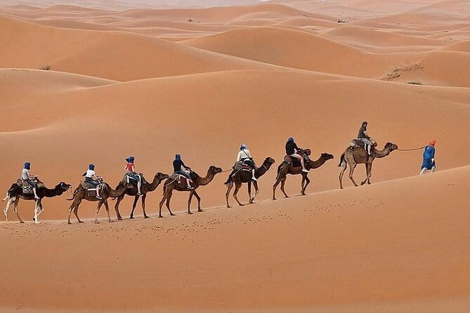 Luxury Sahara Desert From Fez Back to Fez or Marrakech Overnight - Camel Riding Experience