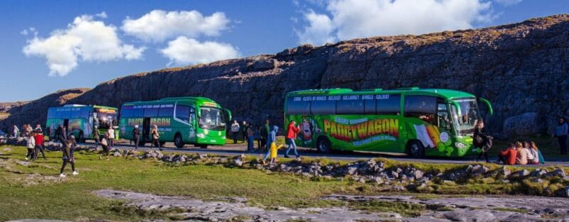 Luxury Shore Excursion From Waterford (Dunmore East) - Practical Details: Making the Most of the Tour