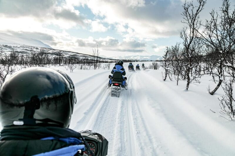 Lyngen: Snowmobile Safari with Lunch in seaside Restaurant - Key Points & Takeaways