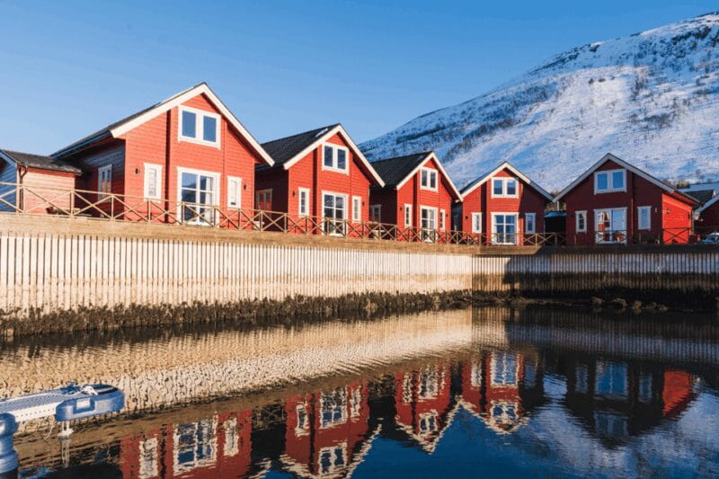 Lyngen: Snowmobile Safari with Lunch in seaside Restaurant - Who Will Love This Tour?