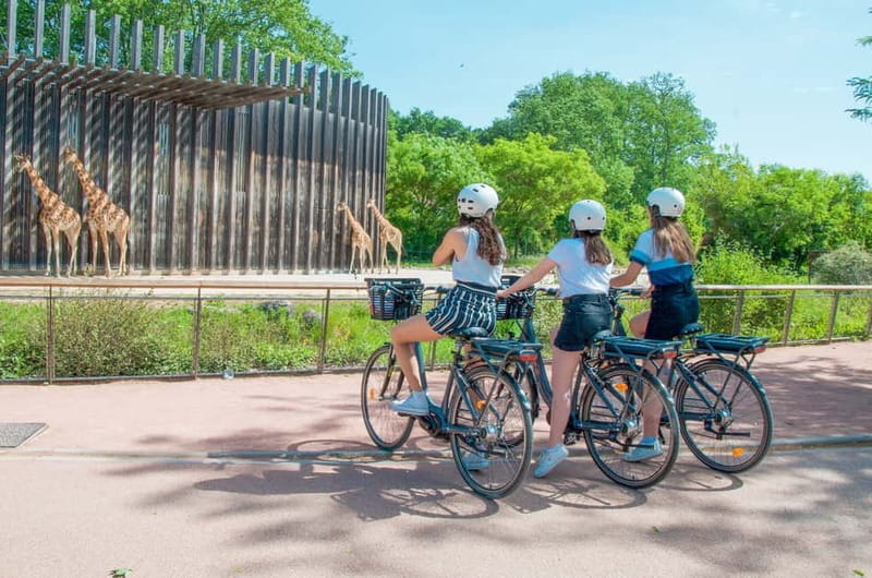 Lyon: Discovery of the Tête d'Or Park by eBike - Exploring Lyon by eBike: A Practical Guide