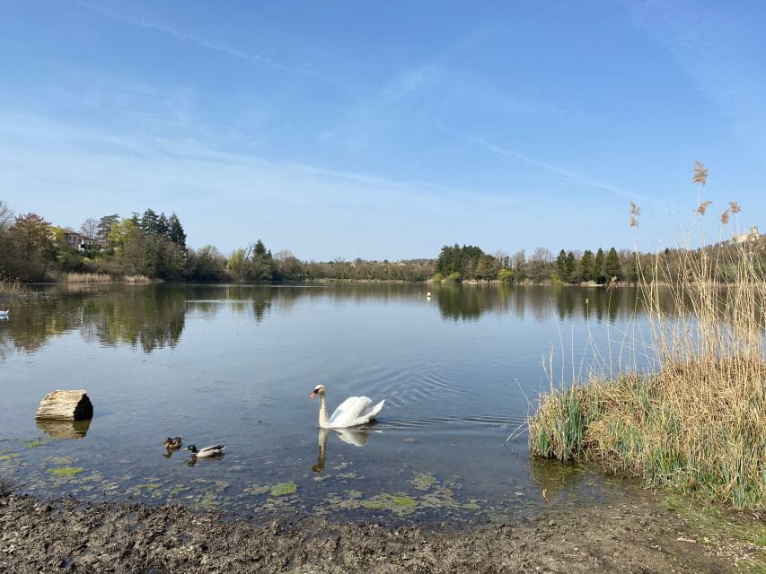 Lyon: Self-Guided Hike off the Beaten Track (Train & Picnic) - Picnic and Refreshments