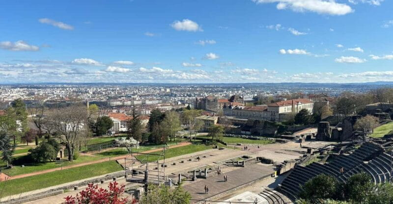 Lyon : Visit Lyon on a private half-day tour with a driver - Transportation and Logistics: Comfort in a Compact Package